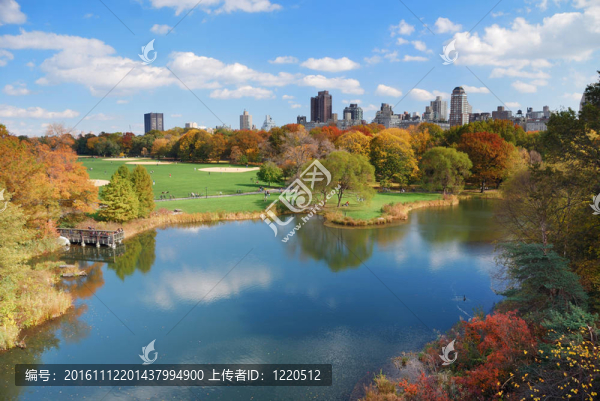 曼哈頓市紐約中央公園