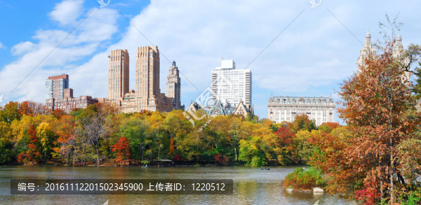 紐約市中央公園全景