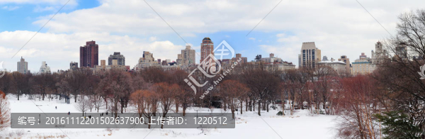 紐約市冬季中央公園全景