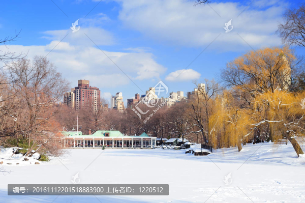 紐約市中央公園全景