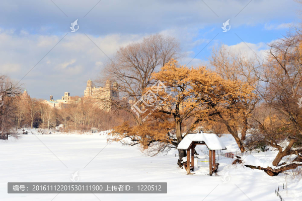 紐約市冬季中央公園