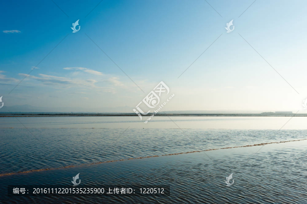鹽沼