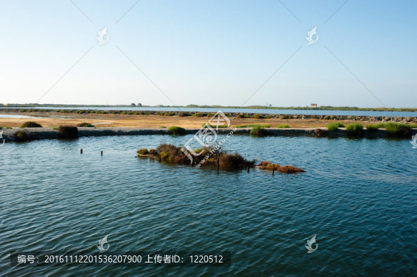 鹽沼