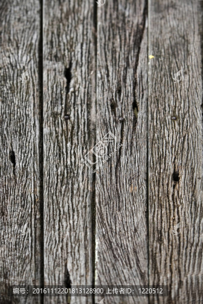 木材紋理
