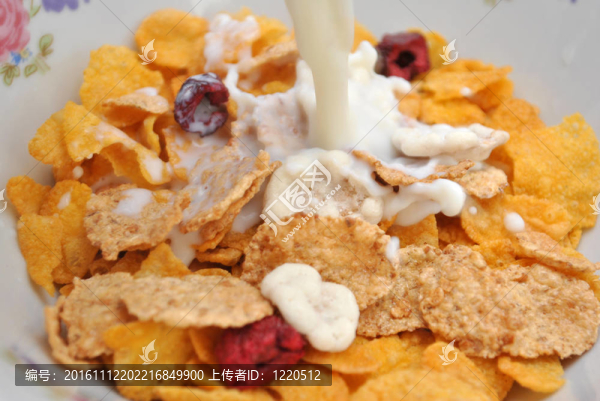 玉米片-匯圖網(wǎng) www.fosd68.com 玉米片