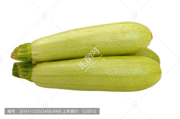胡瓜白