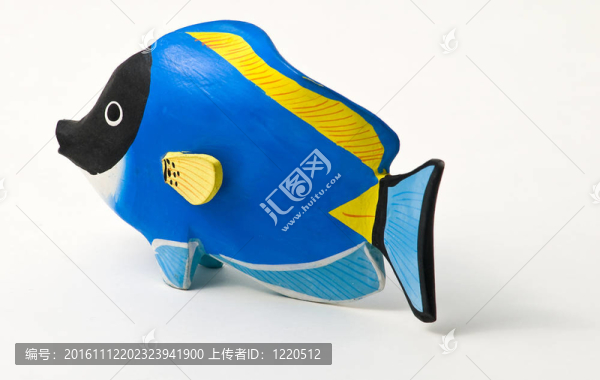 醫(yī)生魚。