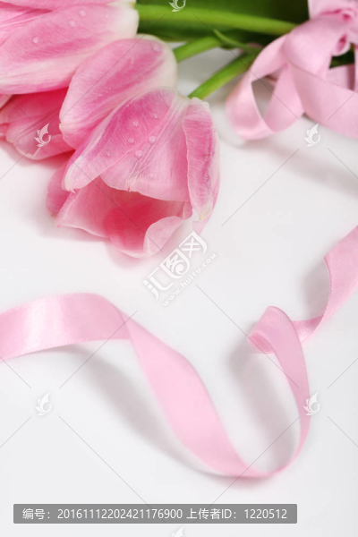 快樂節(jié)日賀卡