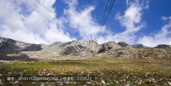 開普敦桌子山