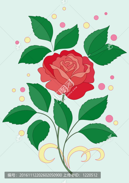 玫瑰的花