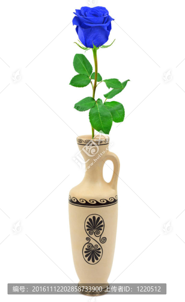 復(fù)古花瓶里的藍(lán)玫瑰