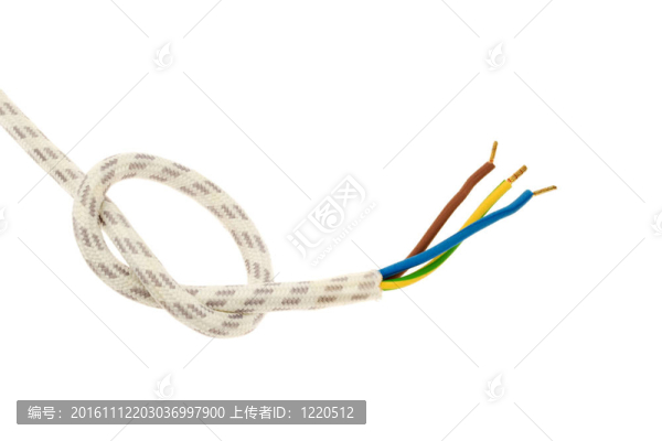 帶插頭的電源線