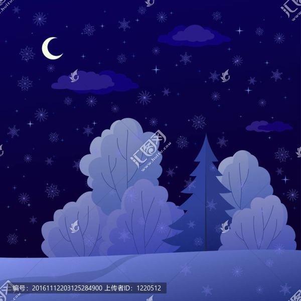 景觀；森林邊緣；冬季夜晚