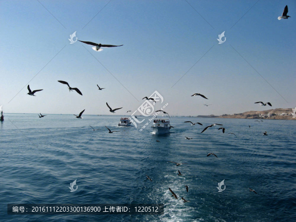 海走
