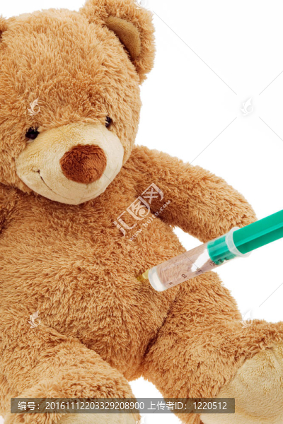 Teddy,Bear注射