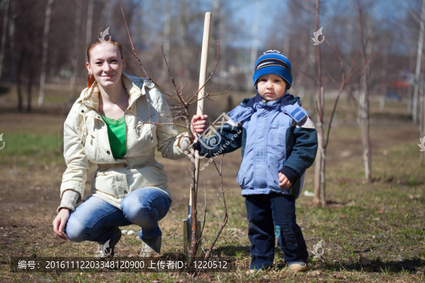 女人和男孩種植樹