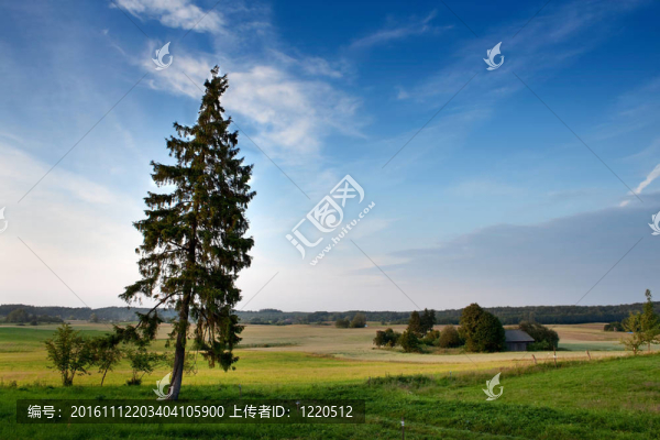 夏天的風(fēng)景