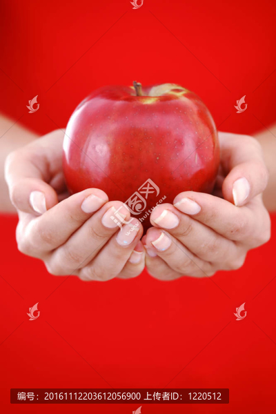 手上的紅蘋(píng)果
