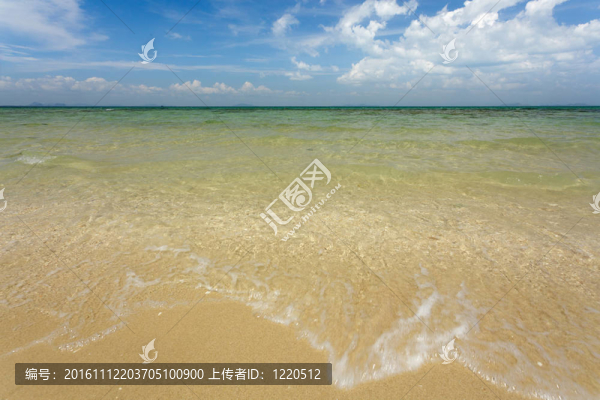 野生的熱帶海灘