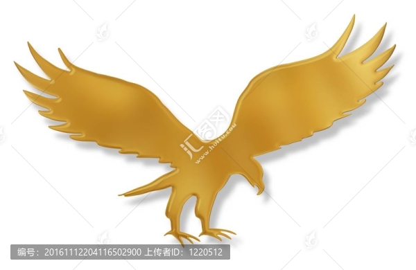 金鷹