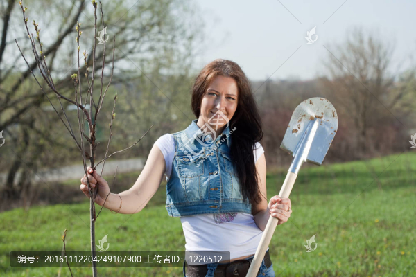 女園丁種植樹