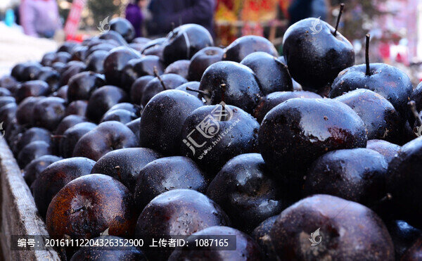 凍梨-匯圖網(wǎng) www.fosd68.com 凍梨