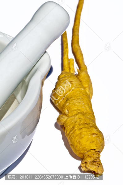 人參根和砂漿