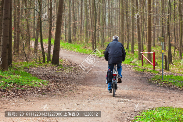 騎自行車的老人