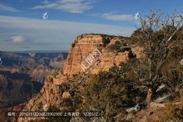在大峽谷的冬天；AZ；美國