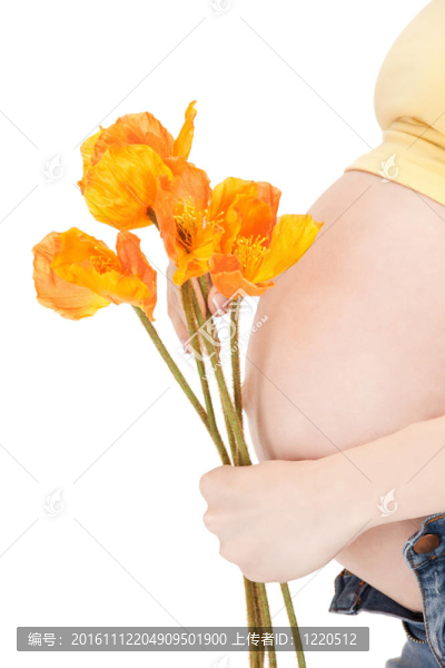孕婦的肚子