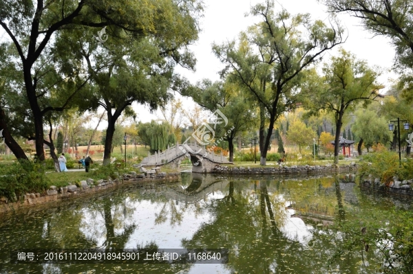 秋日?qǐng)@林美景