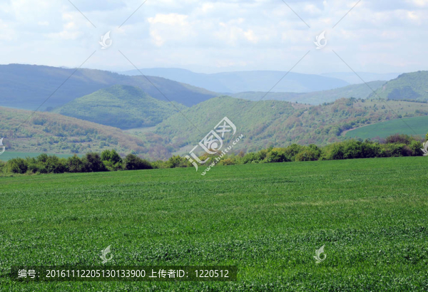 草甸和Hills