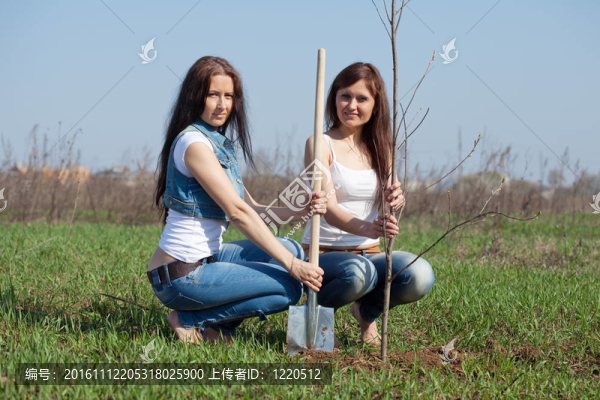 兩個(gè)婦女種植樹