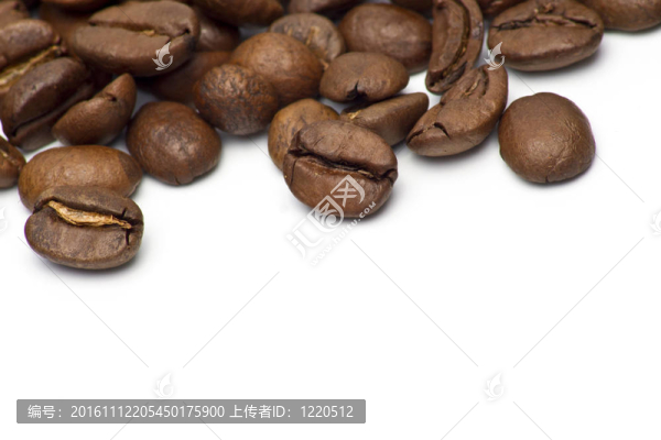 白色咖啡豆-匯圖網(wǎng) www.fosd68.com 白色咖啡豆