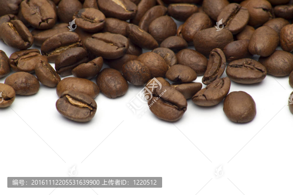 白色咖啡豆