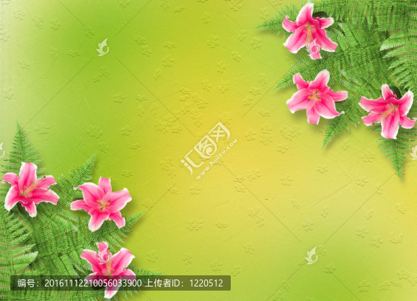 邀請或祝賀的粉紅色百合卡