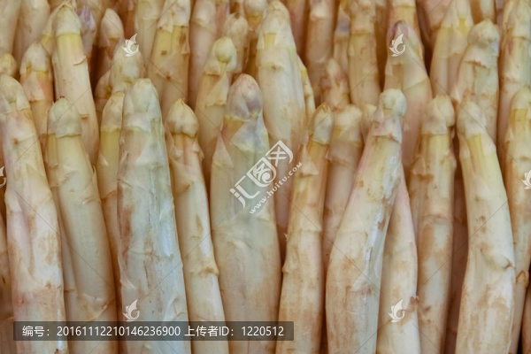 把蘆筍