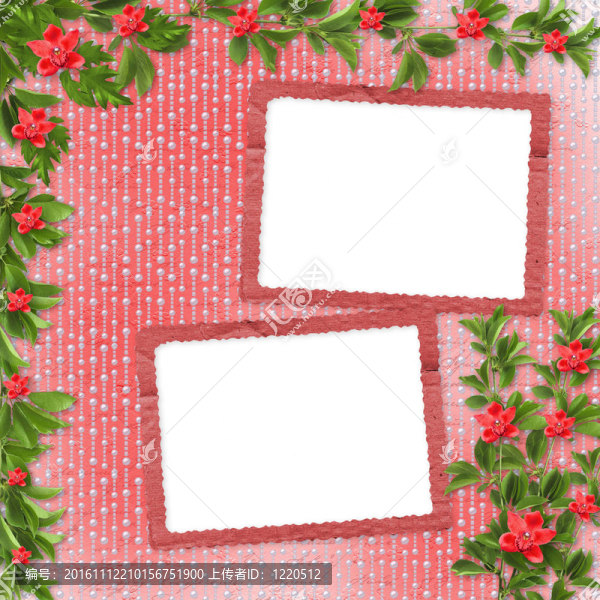 邀請或祝賀的紅色蘭花卡