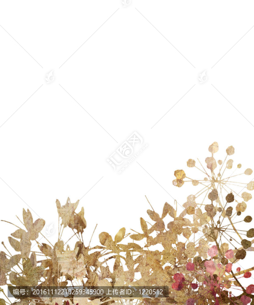 石頭紋理中的花藝術(shù)