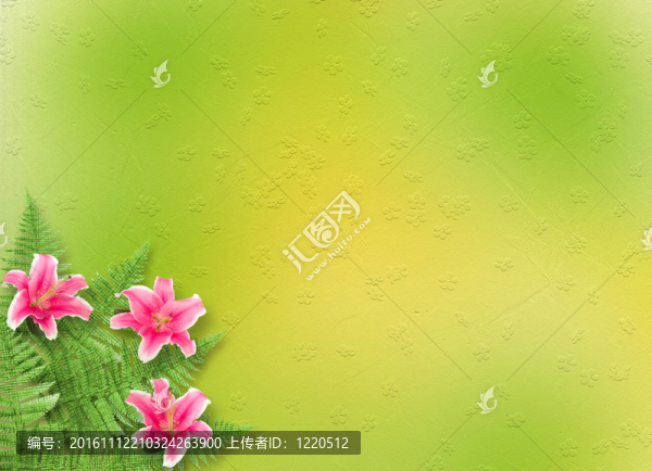 邀請(qǐng)或祝賀的粉紅色百合卡