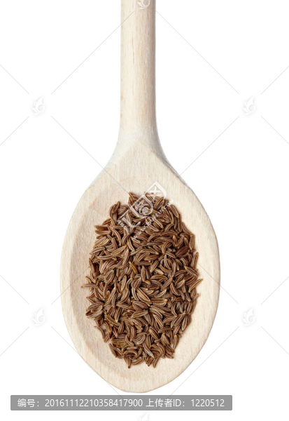 香菜調(diào)味食品配料