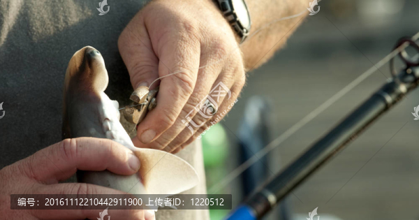 除魚餌-匯圖網(wǎng) www.fosd68.com 除魚餌