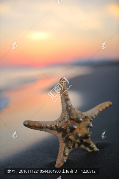 沙灘上的夏天海灘上的日落