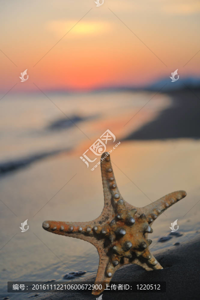 沙灘上的夏天海灘上的日落