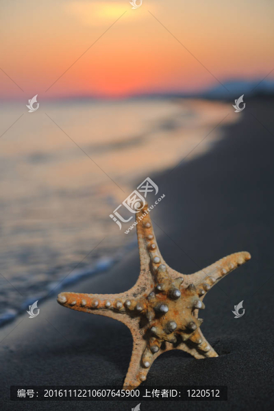 沙灘上的夏天海灘上的日落