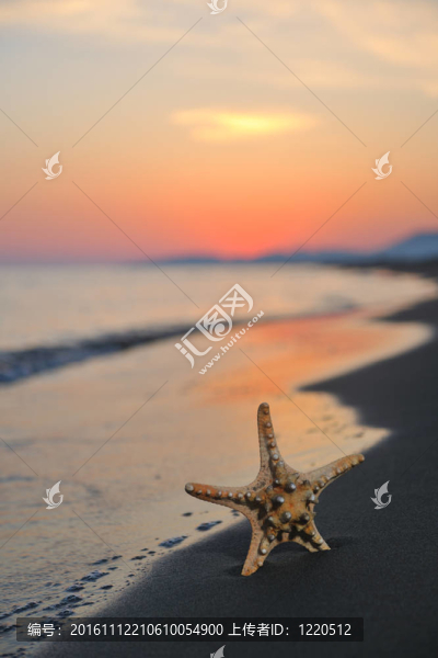 沙灘上的夏天海灘上的日落