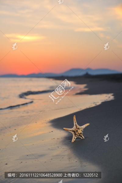 沙灘上的夏天海灘上的日落