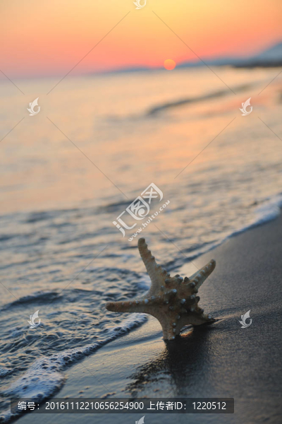 沙灘上的夏天海灘上的日落