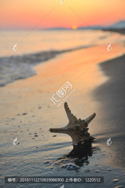 沙灘上的夏天海灘上的日落