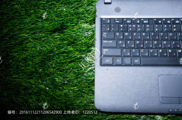 筆記本電腦上的草